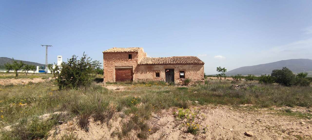 El Pinós