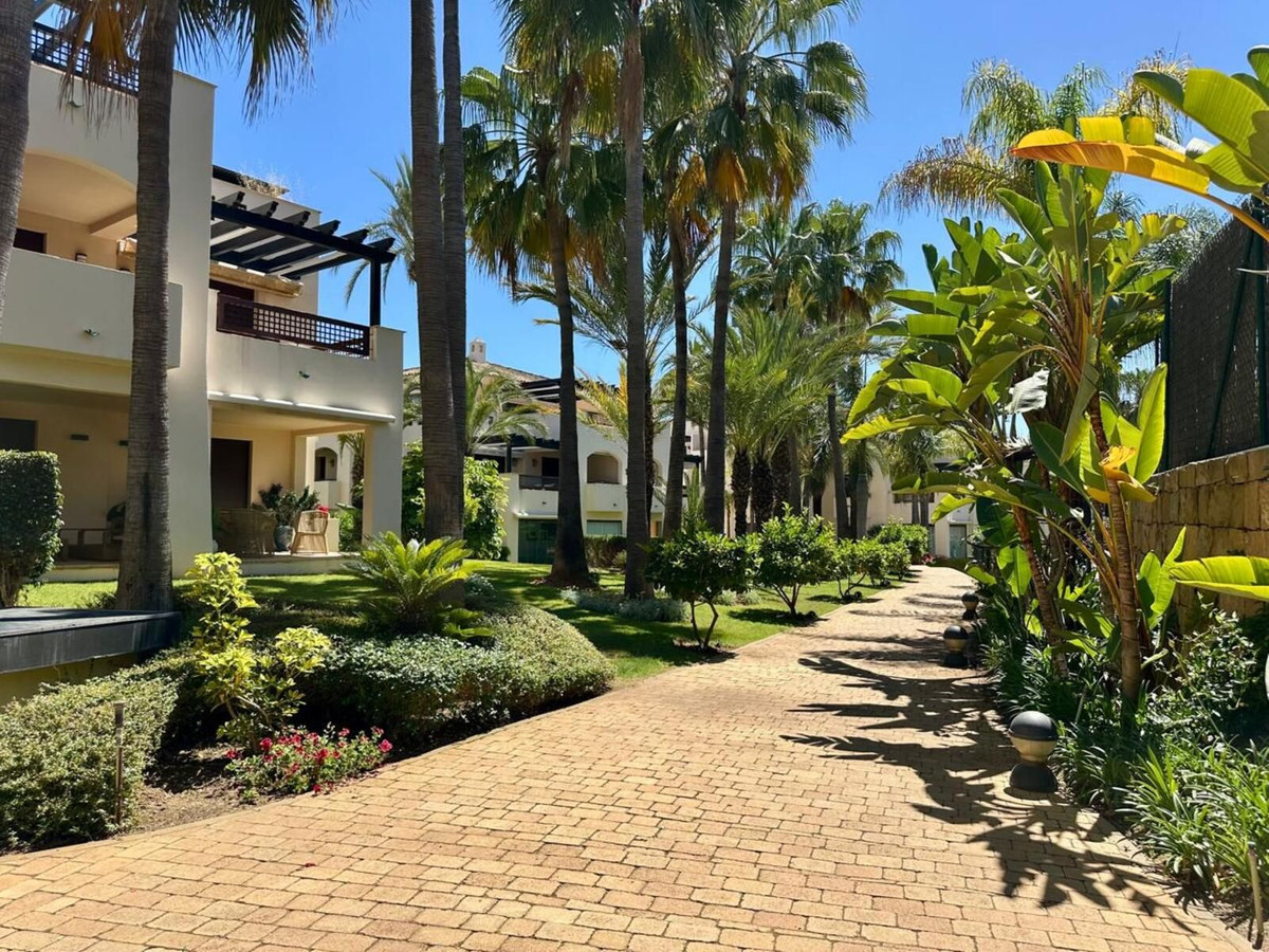Nueva Andalucía, Marbella