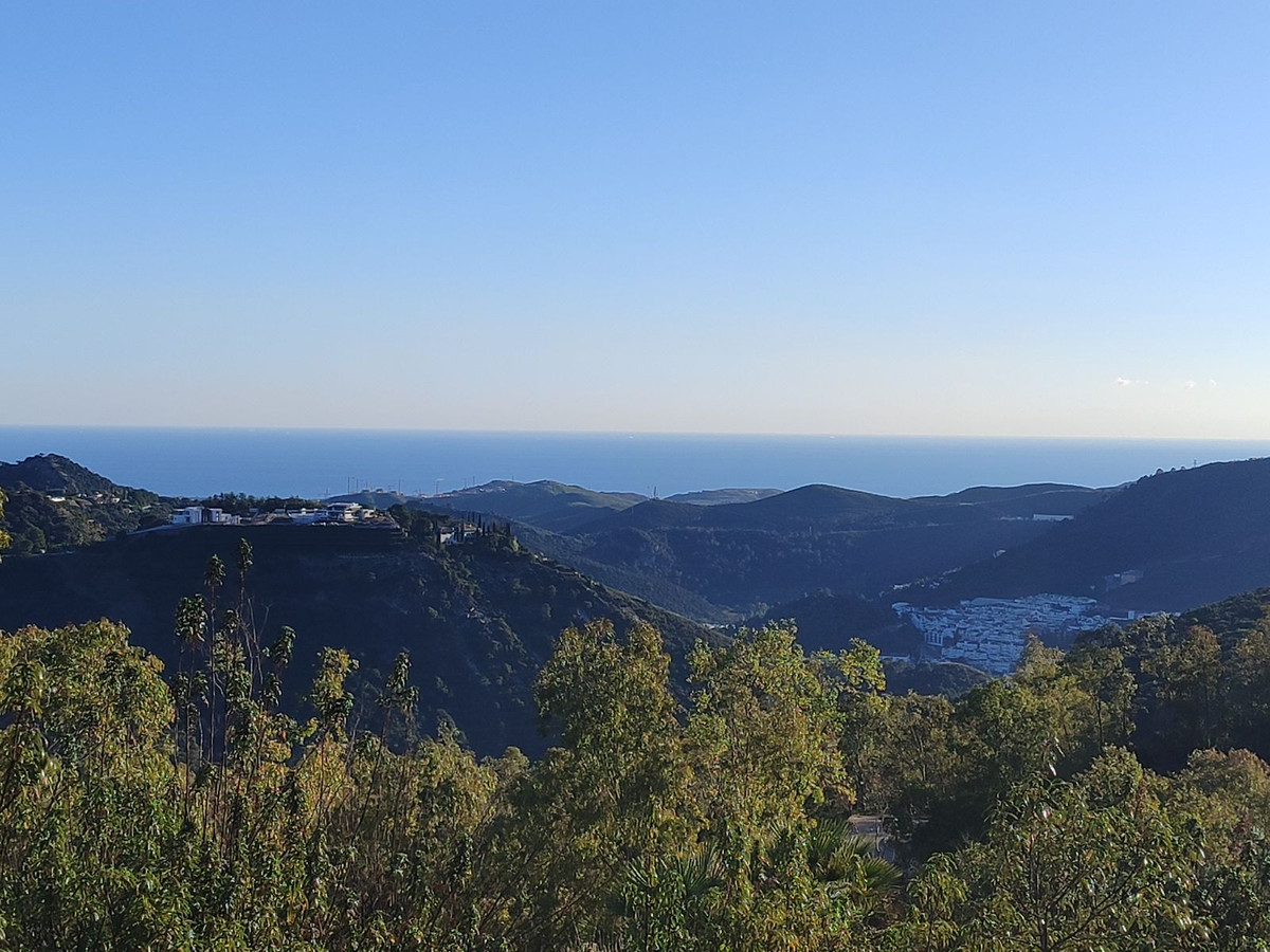 La Zagaleta, Benahavís